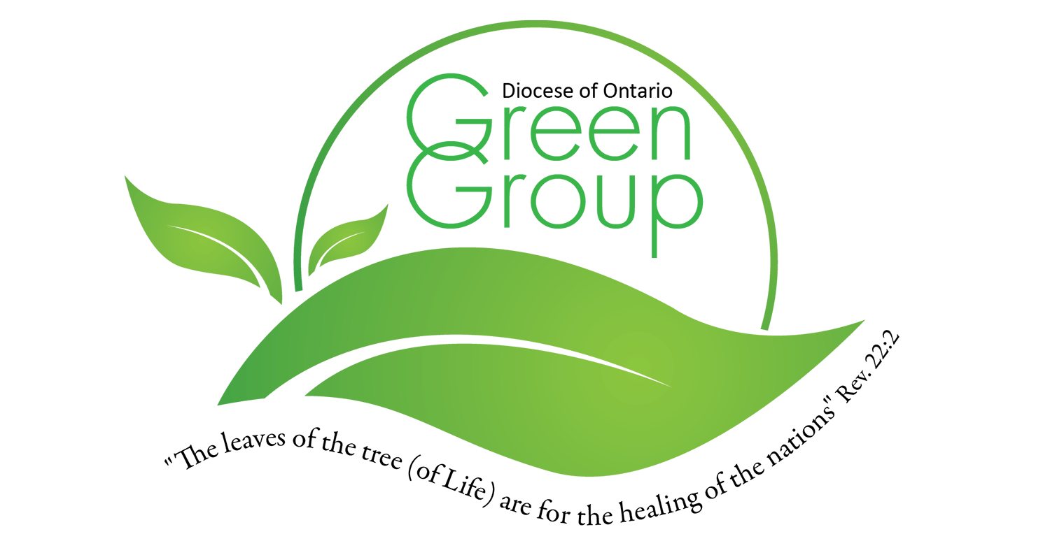 Green Group Logo Creation Care Anglican Diocese of Ontario